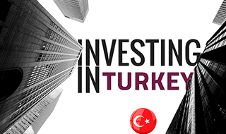 Turkey  investor visa